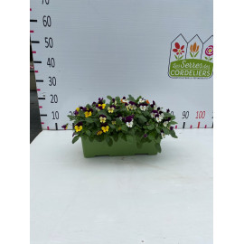 Jardiniere 40 cm cornuta